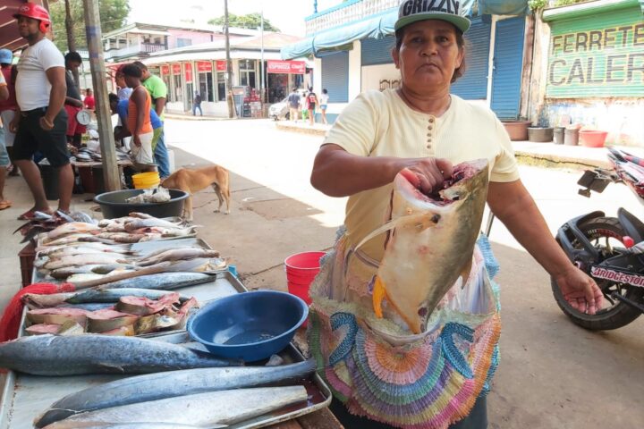 Doña Melania Soto