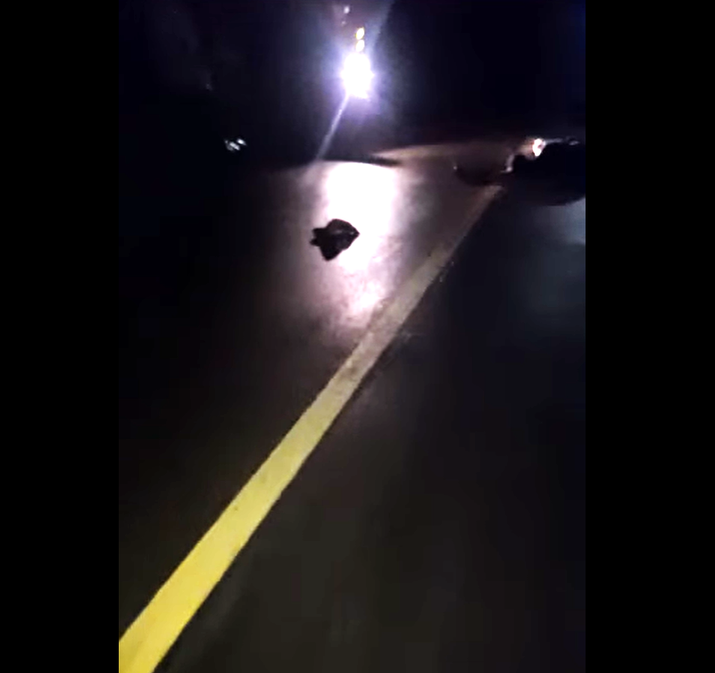 Chofer se dio a la fuga después de atropellar fatalmente a joven ...