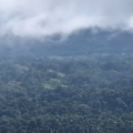 Panorámica de la Reserva de la Biosfera Bosawás, capturada durante un patrullaje por un guardabosques de la zona. / Cortesía