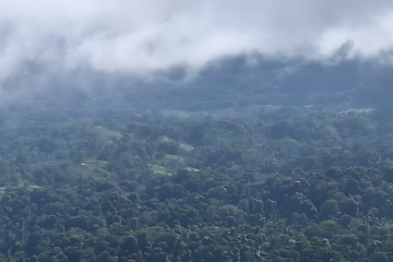 Panorámica de la Reserva de la Biosfera Bosawás, capturada durante un patrullaje por un guardabosques de la zona. / Cortesía