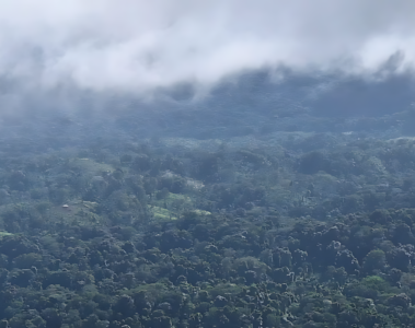 Panorámica de la Reserva de la Biosfera Bosawás, capturada durante un patrullaje por un guardabosques de la zona. / Cortesía