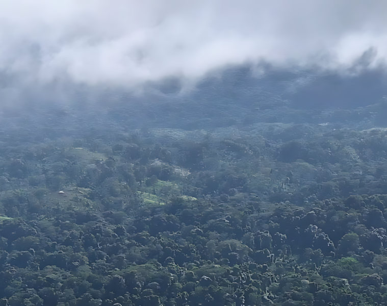 Panorámica de la Reserva de la Biosfera Bosawás, capturada durante un patrullaje por un guardabosques de la zona. / Cortesía