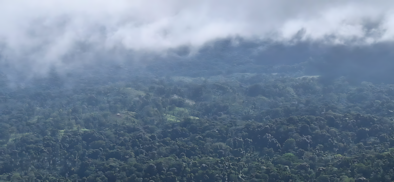 Panorámica de la Reserva de la Biosfera Bosawás, capturada durante un patrullaje por un guardabosques de la zona. / Cortesía